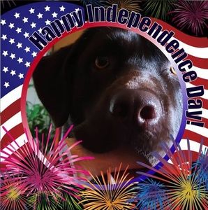 Meet your Posher, Gary